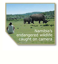 Namibia's endangered wildlife caught on camera